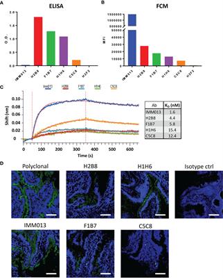 Antibody-Mediated Targeting of Antigens to Intestinal Aminopeptidase N Elicits Gut IgA Responses in Pigs